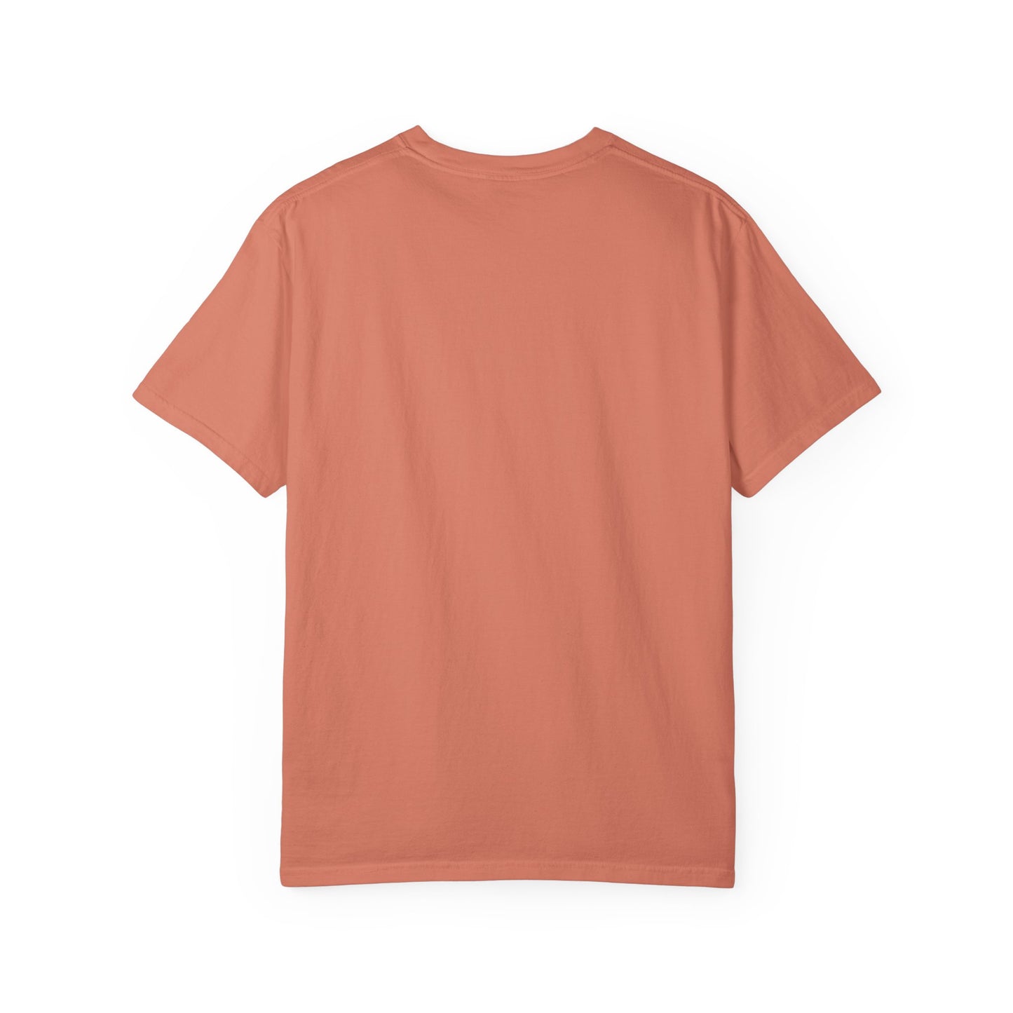 Baltimore Orioles Baseball Logo T-shirt