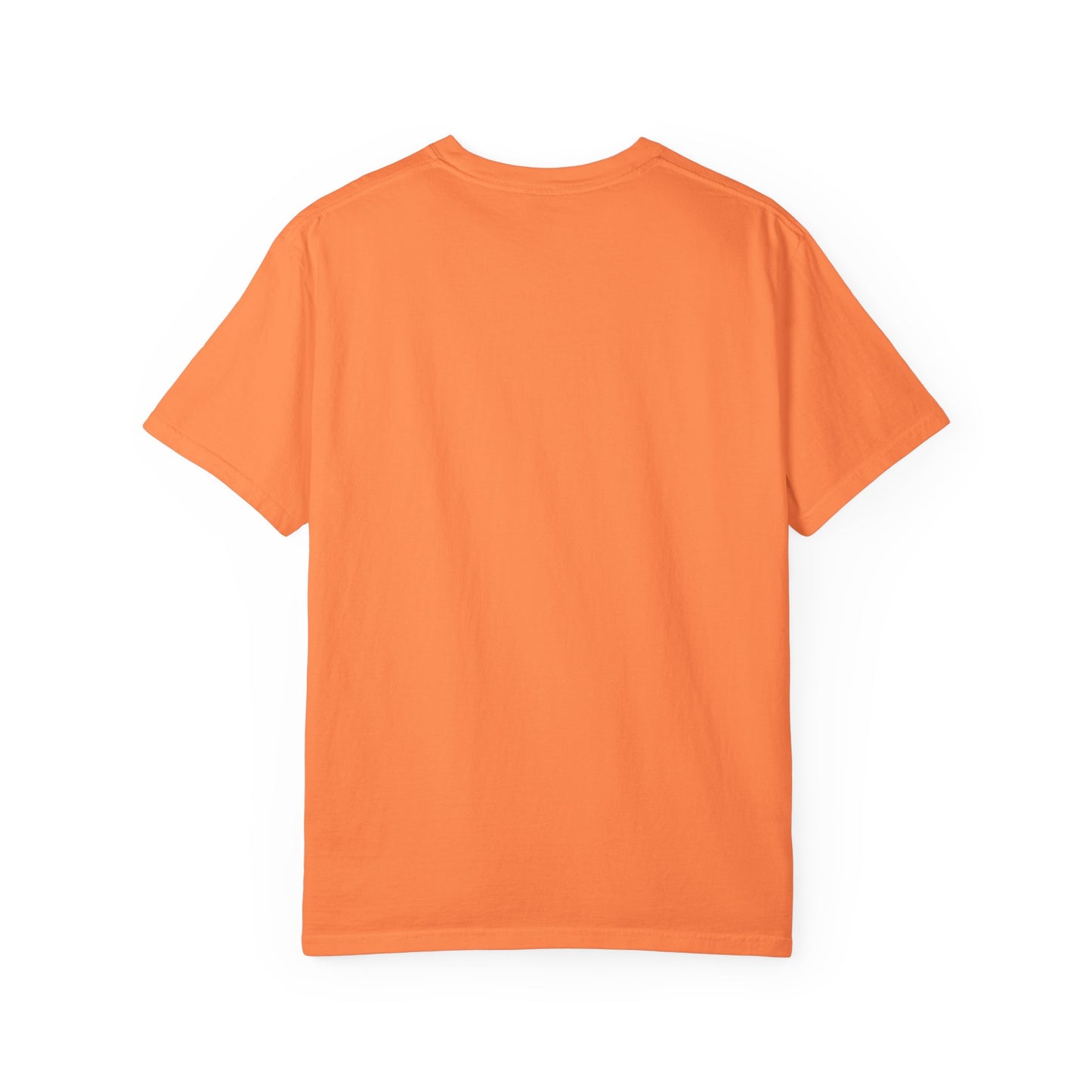 Baltimore Orioles Baseball Logo T-shirt