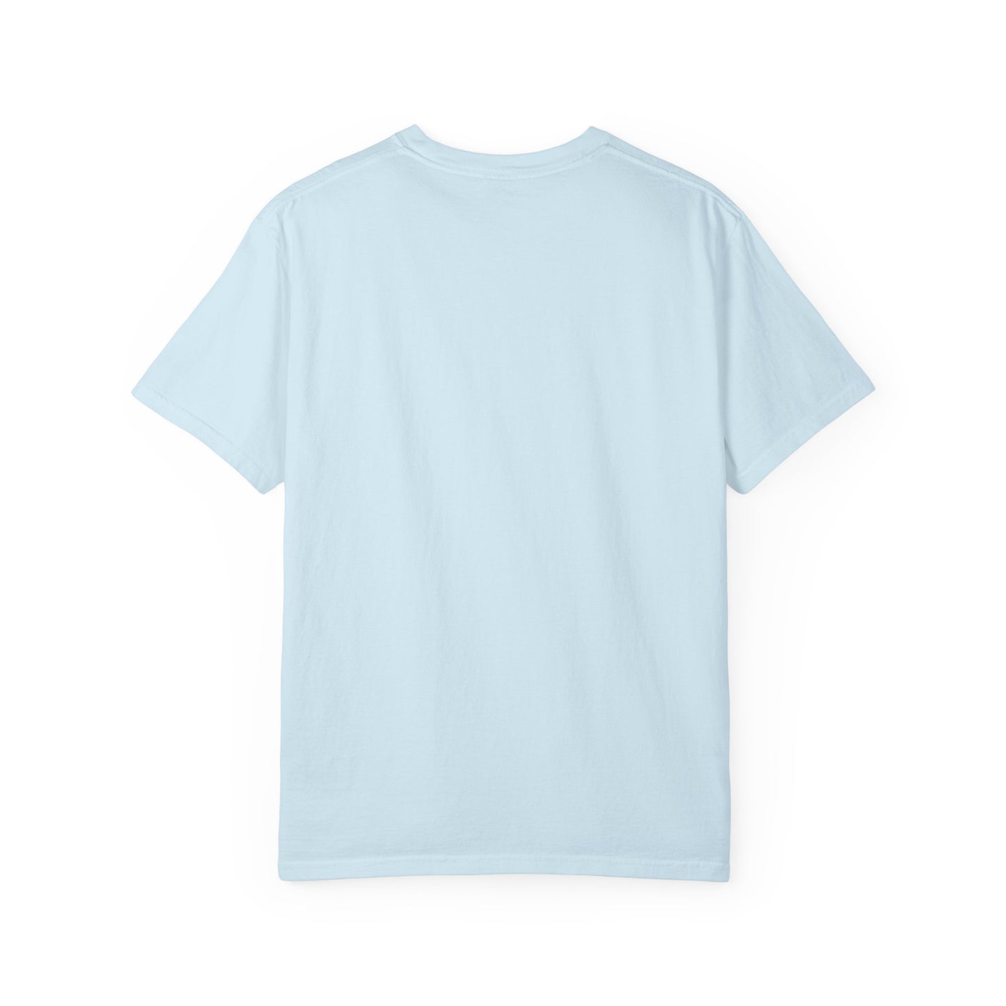 Classic Houston Oilers Football, Vintage NFL T-Shirt, Est. 1960 Oilers, Titans